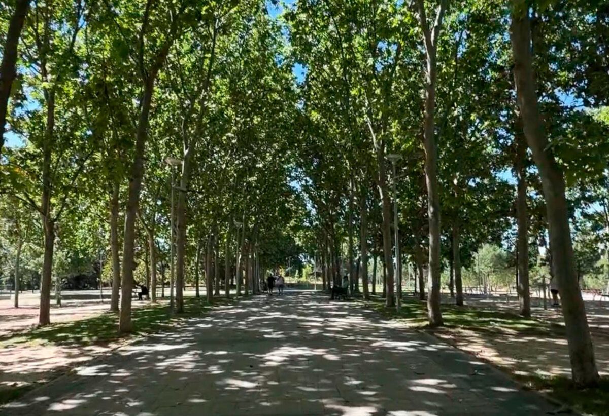 Paseo arbolado por donde discurrirá el acceso hacia la zona de conciertos de las Fiestas Populares 2026 de Torrejón de Ardoz